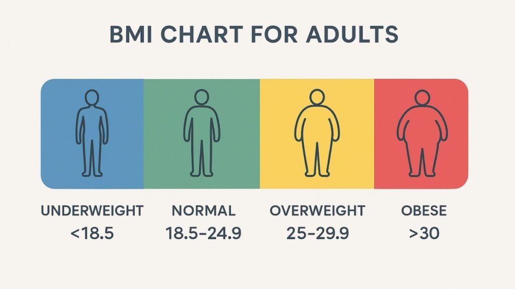 A clear and simple BMI chart showing the ranges for underweight, normal weight, overweight, and obesity categories for adults as per WHO guidelines.